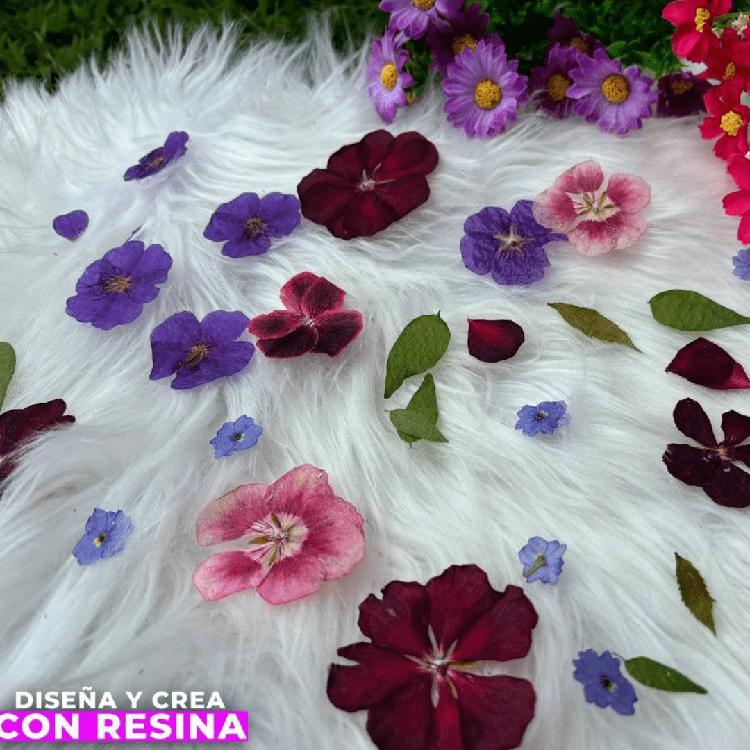 Máster class de técnicas para secar tus flores desde casa